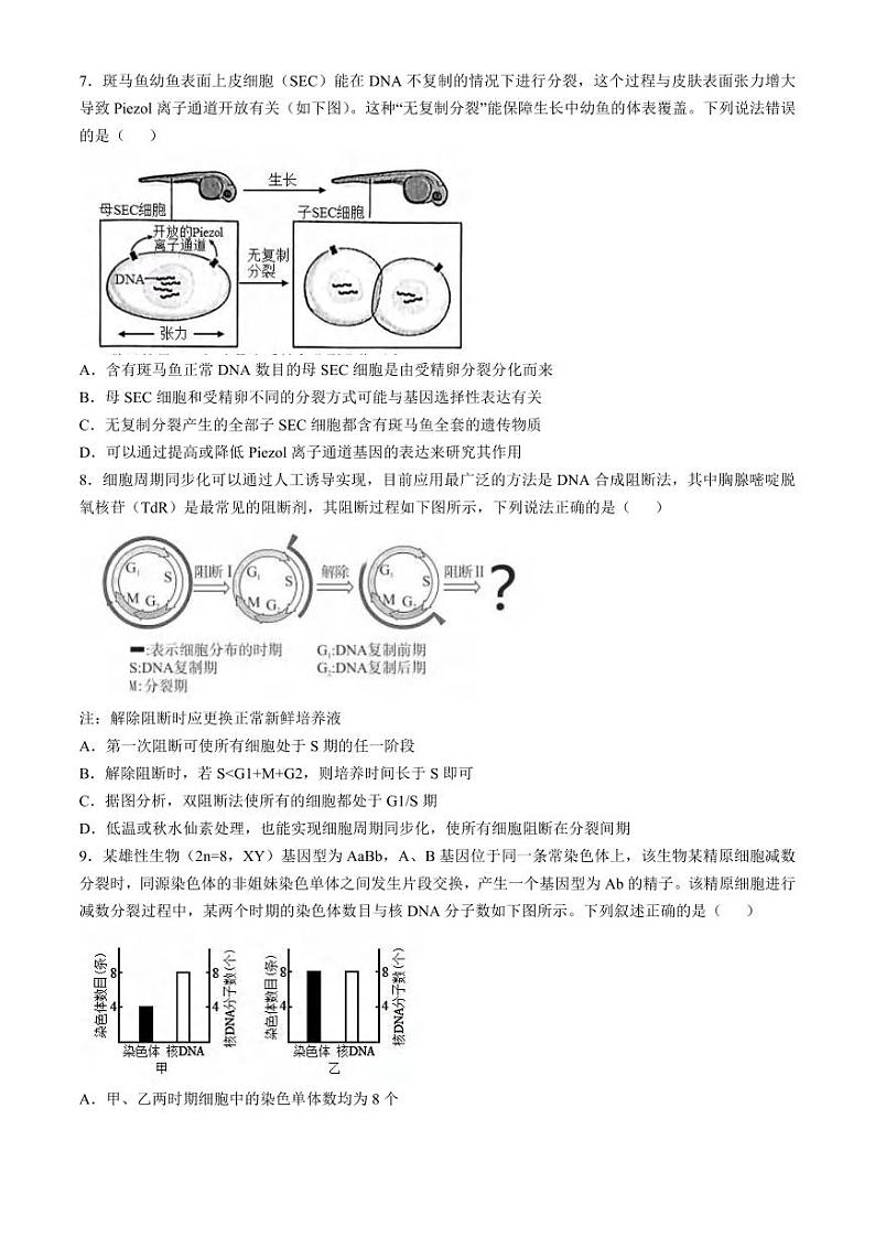 生物丨辽宁省辽宁省实验中学2025届高三10月月考暨第一次阶段测试生物试卷及答案第3页