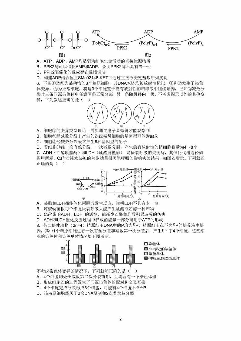 生物丨四川省成都市第七中学高2025届高三10月阶段性测试生物试卷及答案第2页