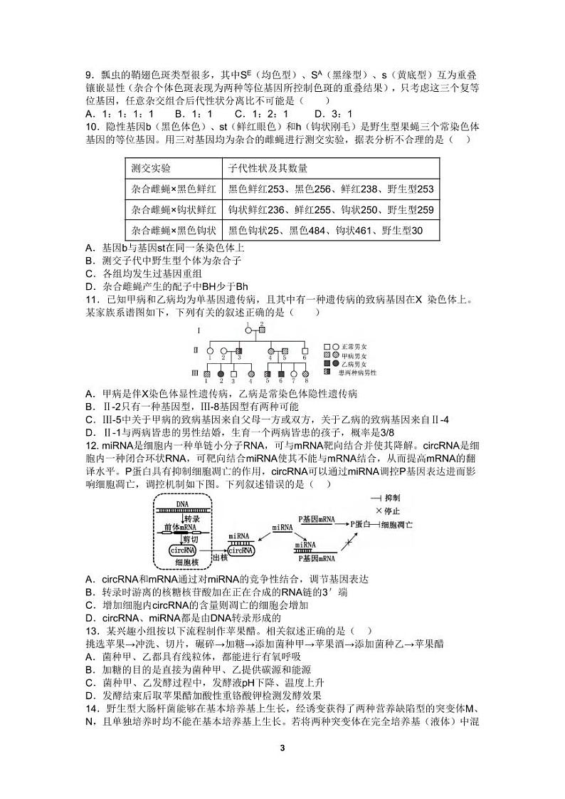 生物丨四川省成都市第七中学高2025届高三10月阶段性测试生物试卷及答案第3页