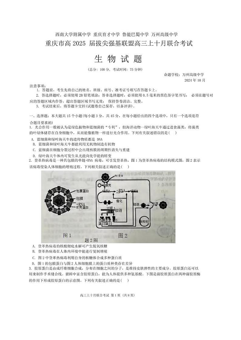 生物丨重庆市高2025届拔尖强基联盟高三10月联合考试生物试卷及答案第1页