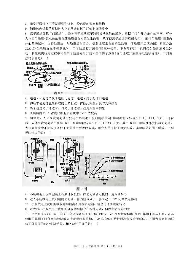 生物丨重庆市高2025届拔尖强基联盟高三10月联合考试生物试卷及答案第3页