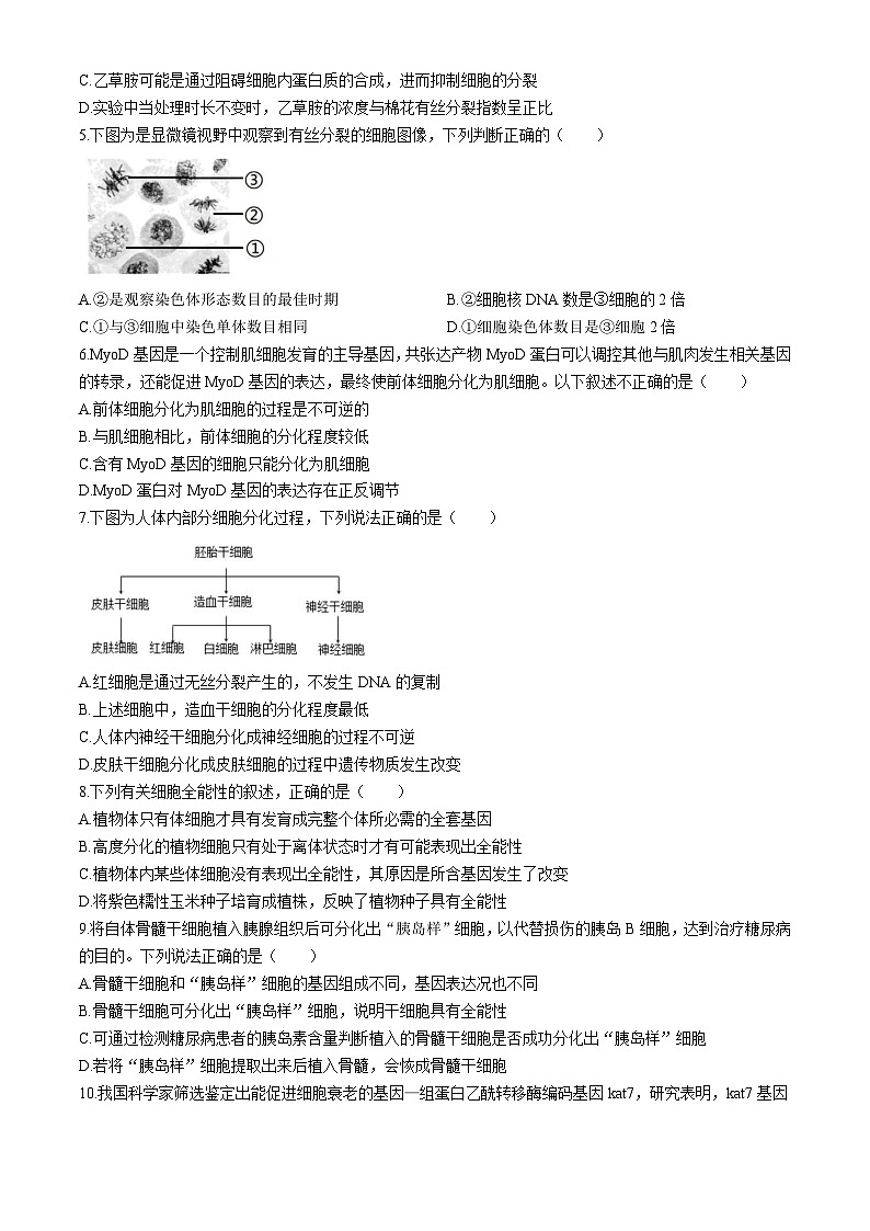 天津市天津市滨海新区天津市滨海新区大港第三中学2024-2025学年高三上学期10月月考生物试题第2页
