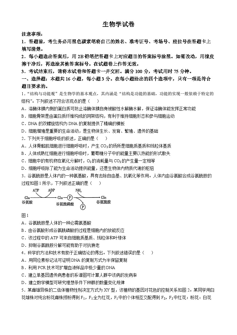 云南师范大学附属中学2024—2025学年高三上学期10月考试生物试题(无答案)第1页