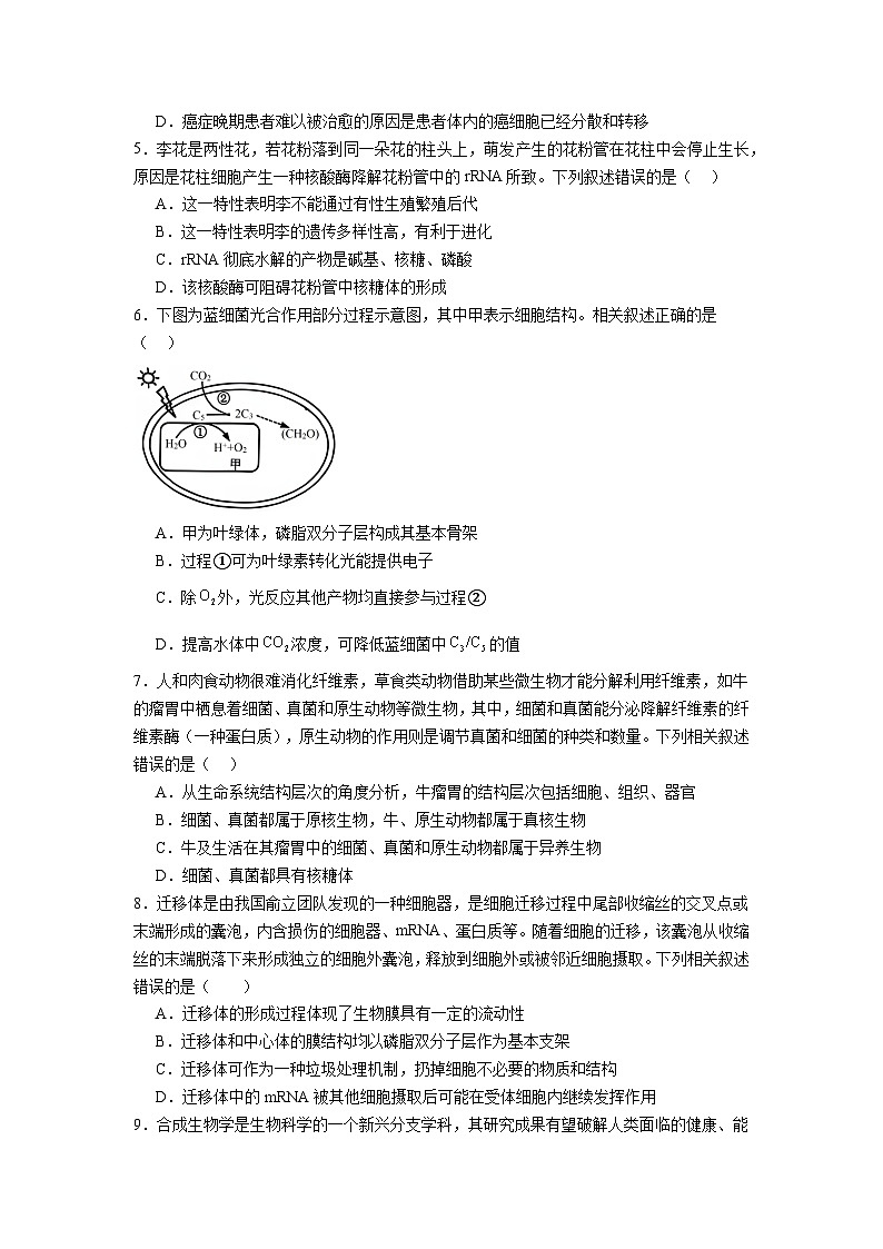 四川省眉山市彭山区第一中学2024-2025学年高三上学期10月月考生物试题第2页