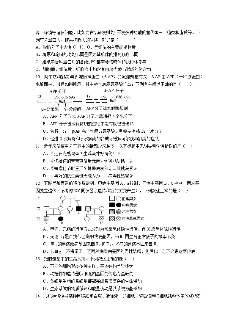四川省眉山市彭山区第一中学2024-2025学年高三上学期10月月考生物试题第3页