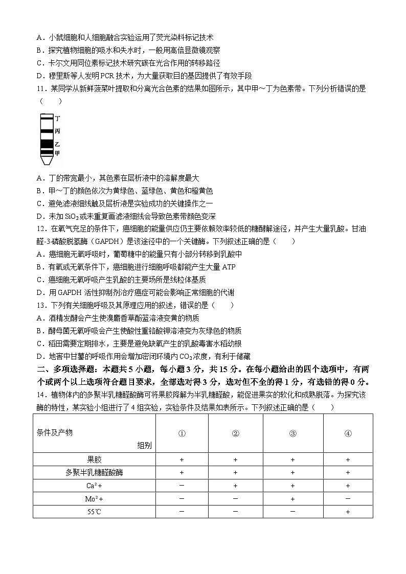河北省部分名校2023-2024学年高二下学期期末联考生物试题第3页