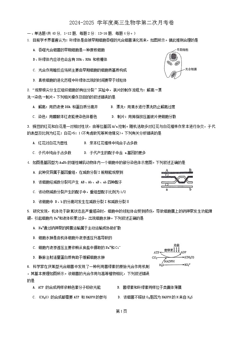 广东省肇庆市封开县江口中学2024-2025学年高三上学期10月月考生物试题01