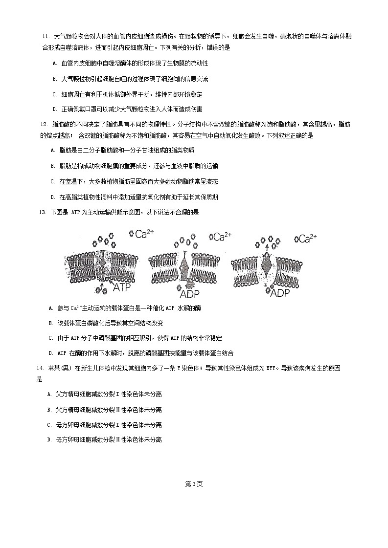 广东省肇庆市封开县江口中学2024-2025学年高三上学期10月月考生物试题03