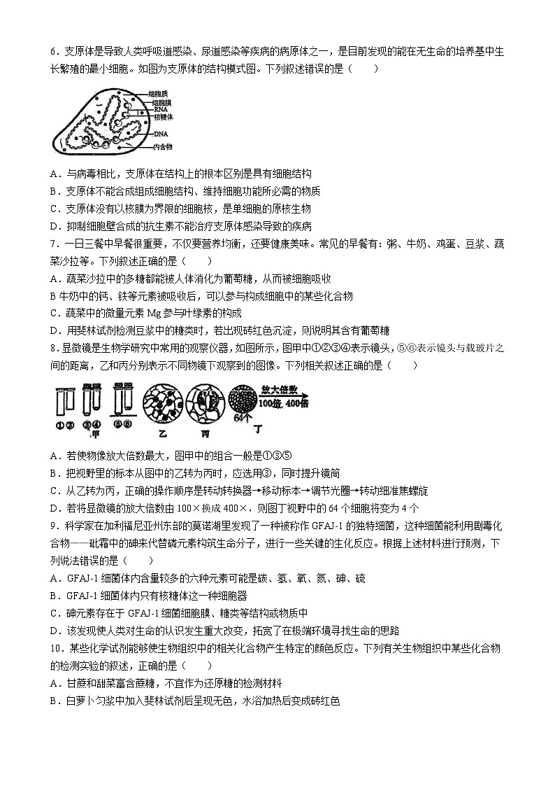 四川省南充高级中学2024-2025学年高一上学期第一次月考生物试题(无答案)第2页