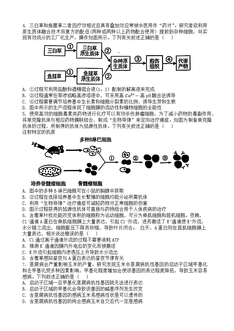 江西省南昌市第十中学2024~2025学年高三上学期第一次月考生物试题02