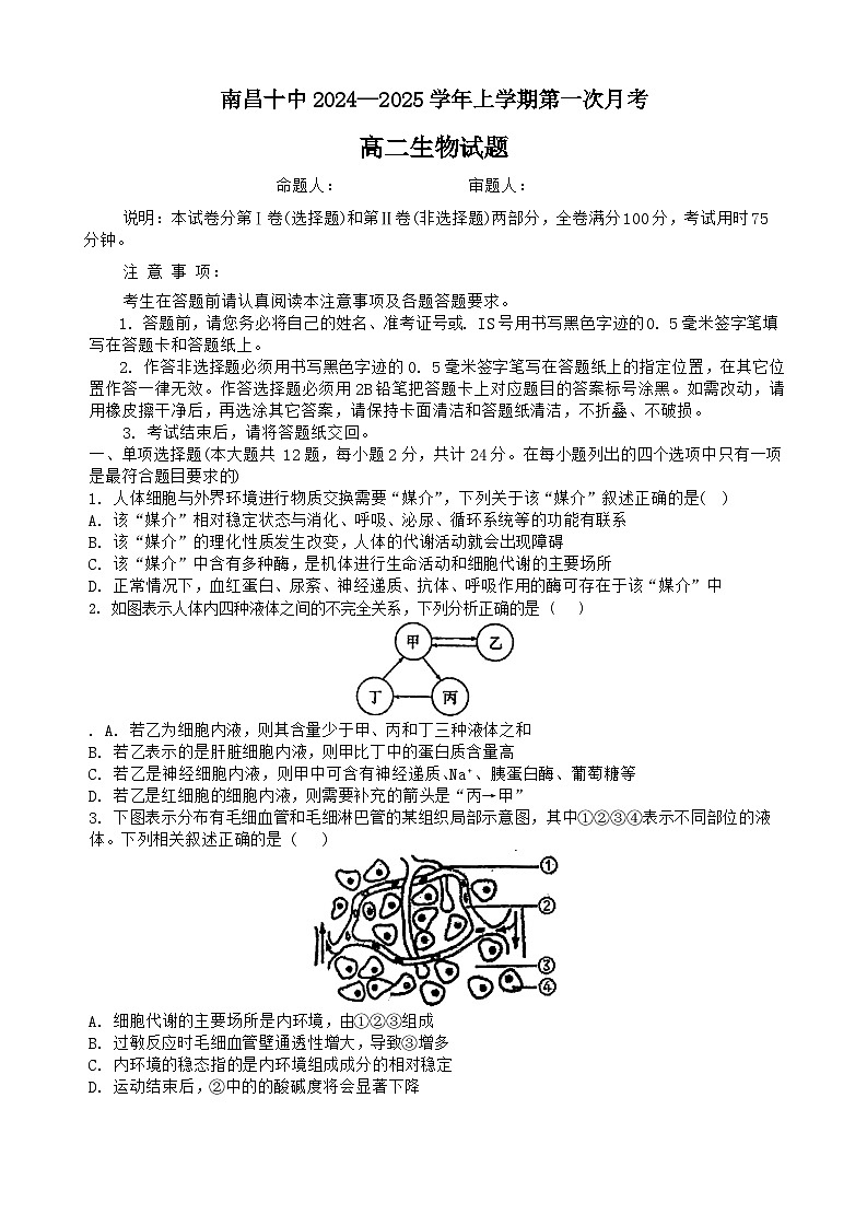 江西省南昌市第十中学2024~2025学年高二上学期第一次月考生物试题01