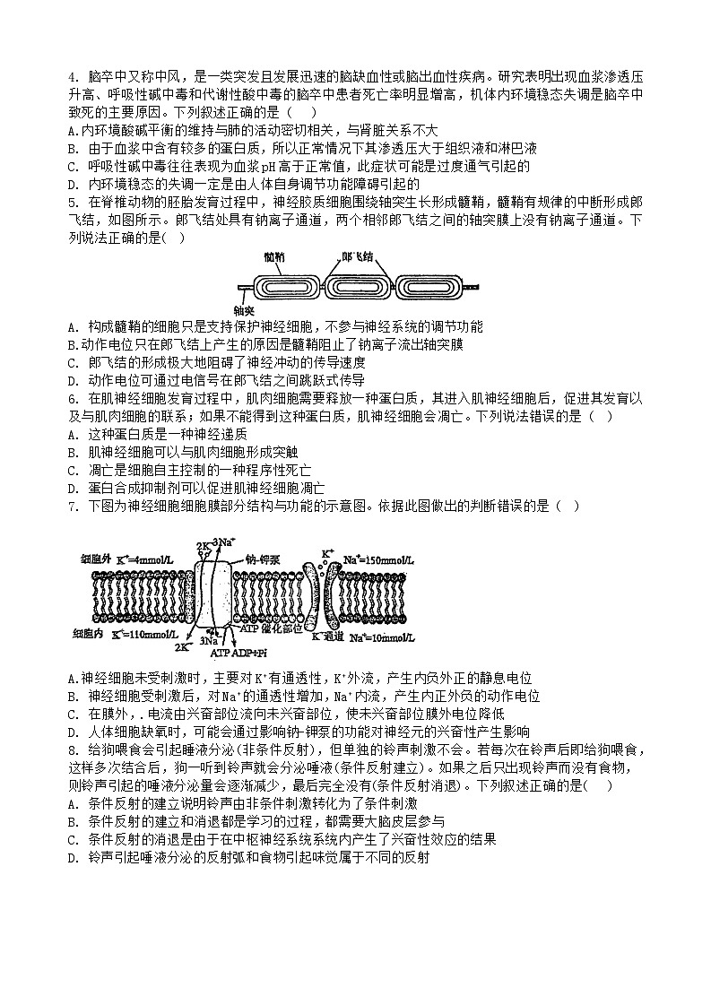 江西省南昌市第十中学2024~2025学年高二上学期第一次月考生物试题02