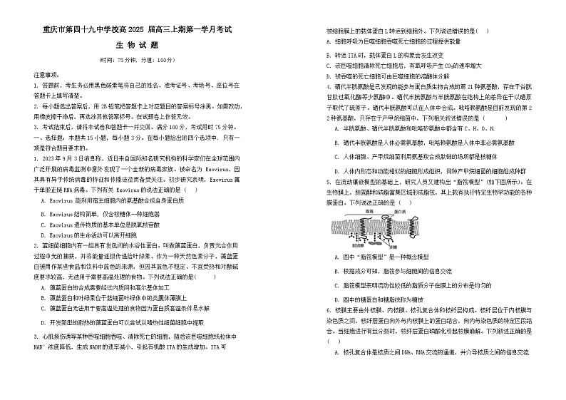 重庆市第四十九中学校2025届高三上学期第一学月考试生物试题第1页