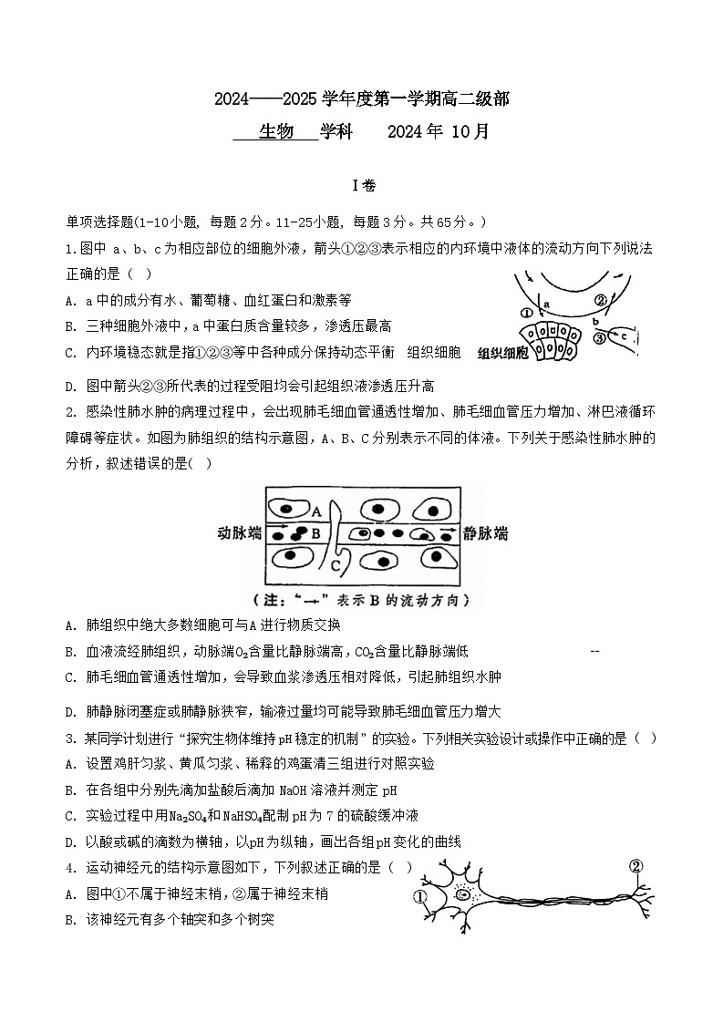 天津市新华中学2024-2025学年高二上学期10月月考生物试题第1页