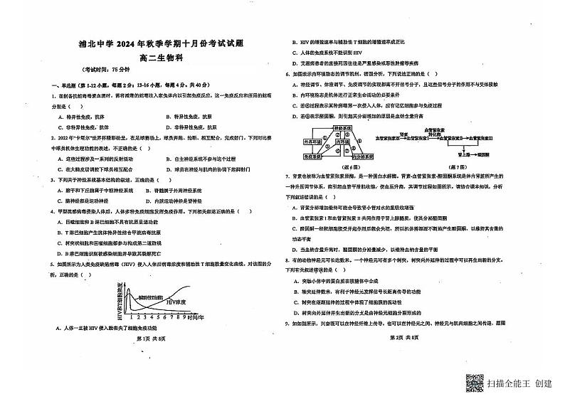 广西壮族自治区钦州市浦北中学2024-2025学年高二上学期10月检测生物试题第1页