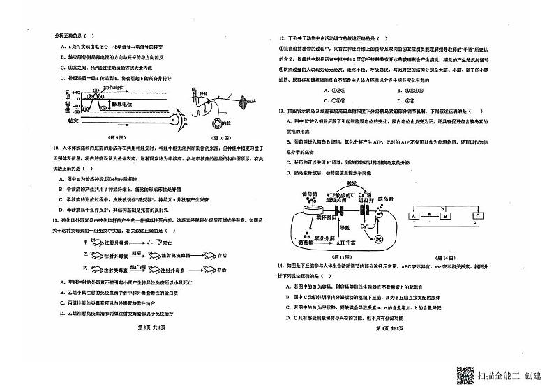广西壮族自治区钦州市浦北中学2024-2025学年高二上学期10月检测生物试题第2页