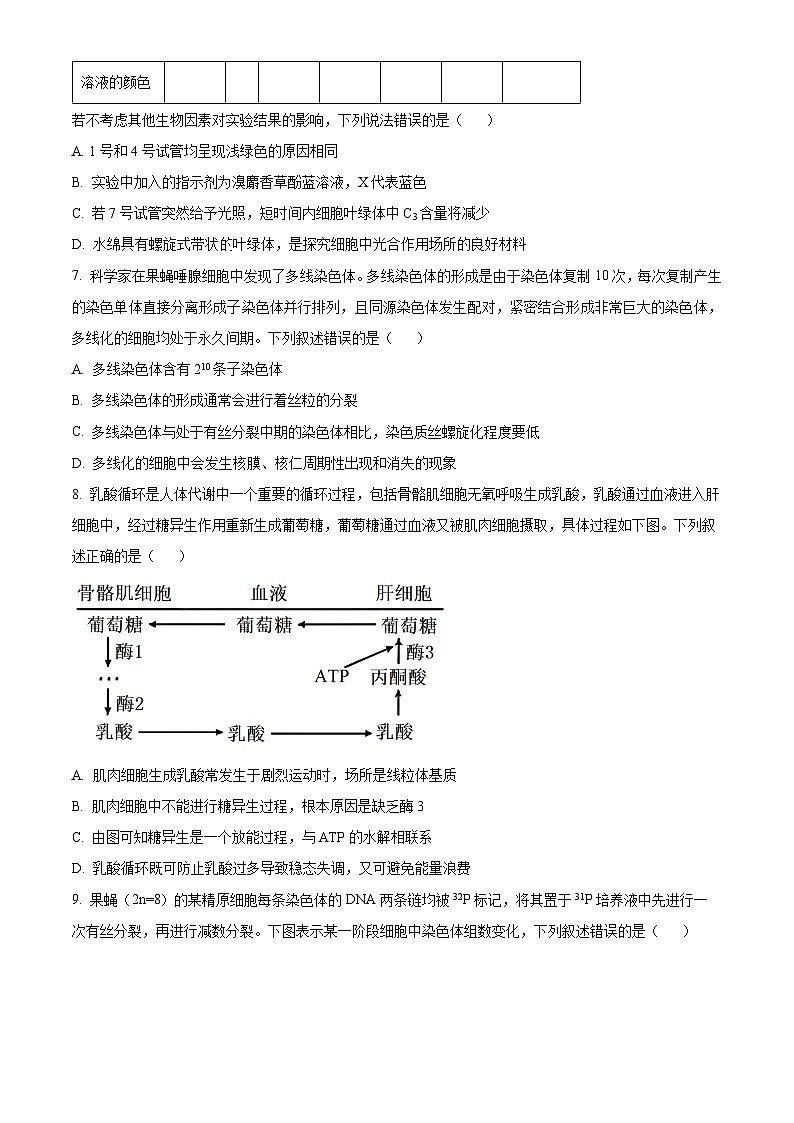山东省滕州市第一中学2024-2025学年高三上学期10月月考生物试题（Word版附答案）第3页