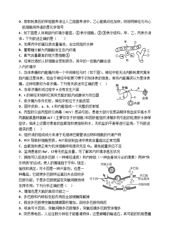 天津市静海区第一中学2024-2025学年高二上学期10月月考生物试题（Word版附答案）第2页