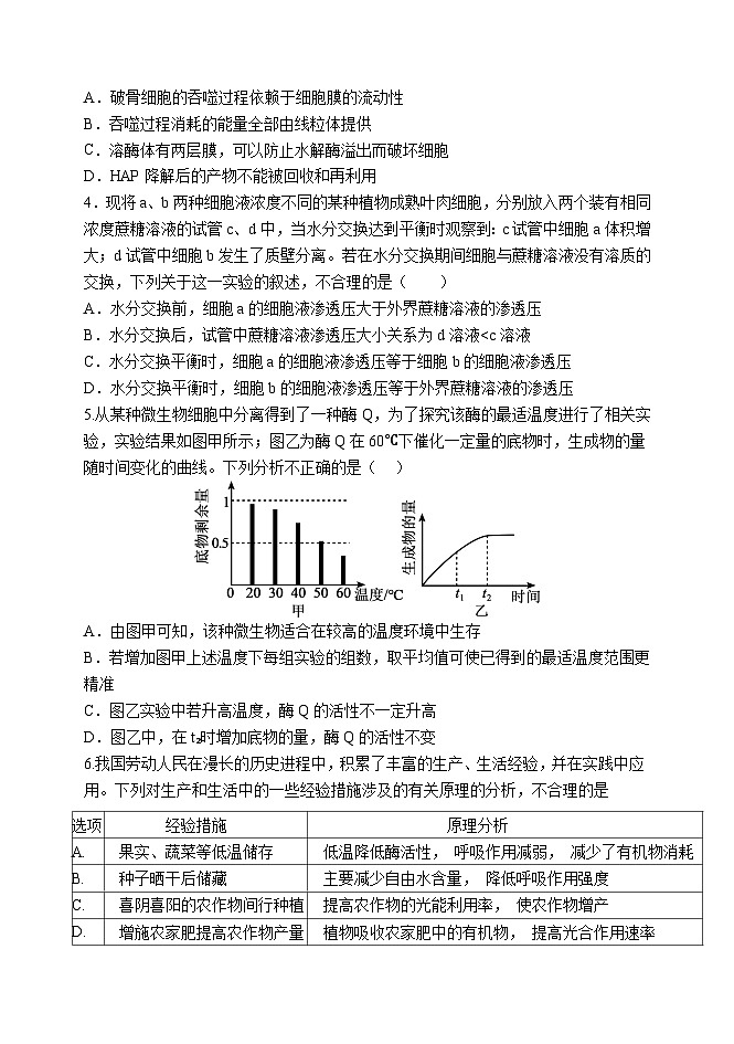 天津市静海区第一中学2024-2025学年高三上学期10月月考生物试题（Word版附答案）第2页