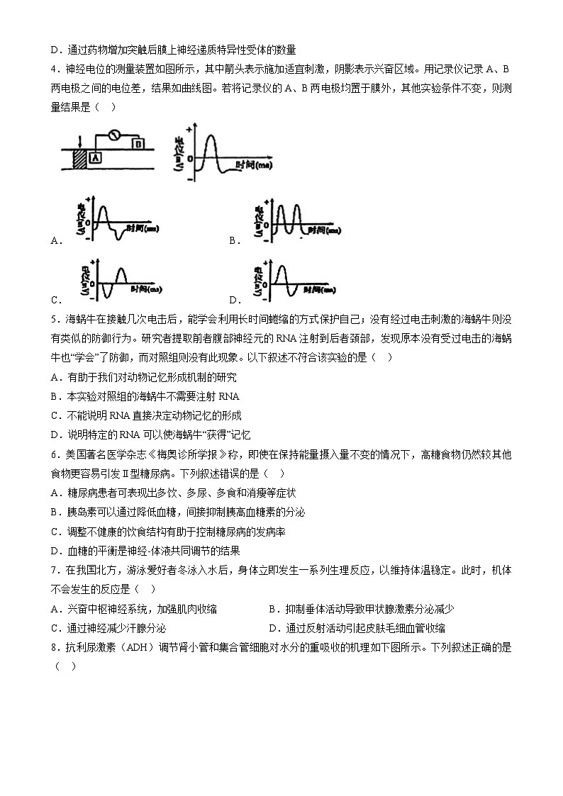 2023北京北师大实验中学高二上学期期中生物试卷（教师版）第2页