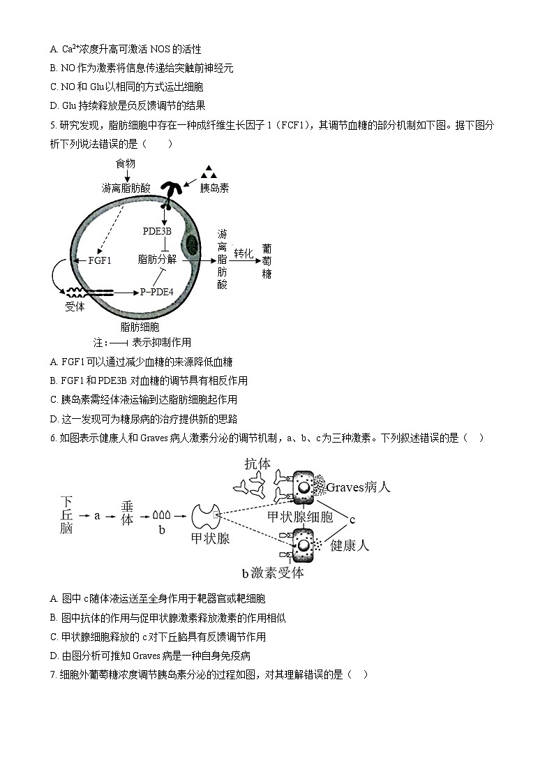 2023北京清华附中高二上学期期中生物试卷（教师版）第2页