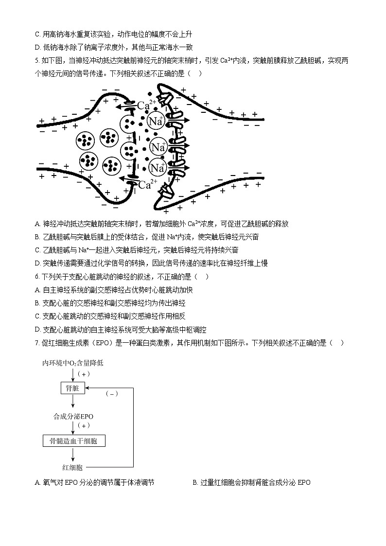 2023北京四中高二上学期期中生物试卷（教师版）第2页