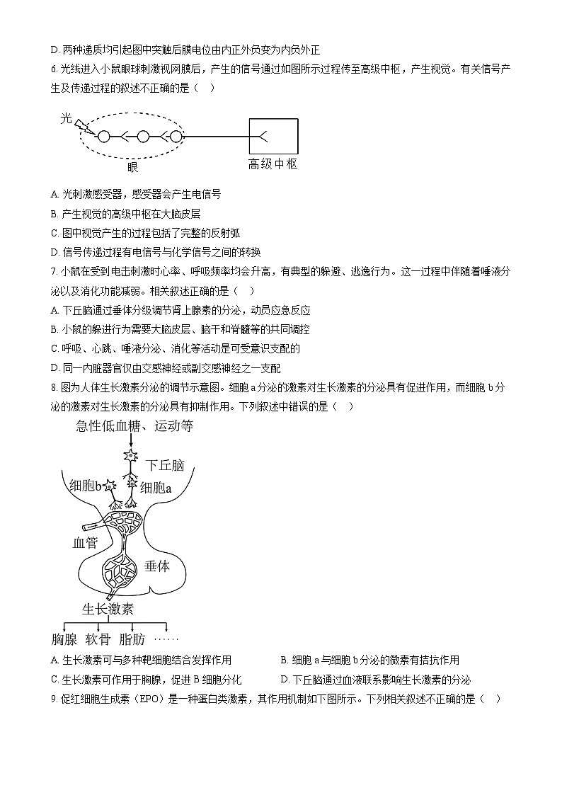 2023北京八中高二上学期期中生物试卷（教师版）第2页