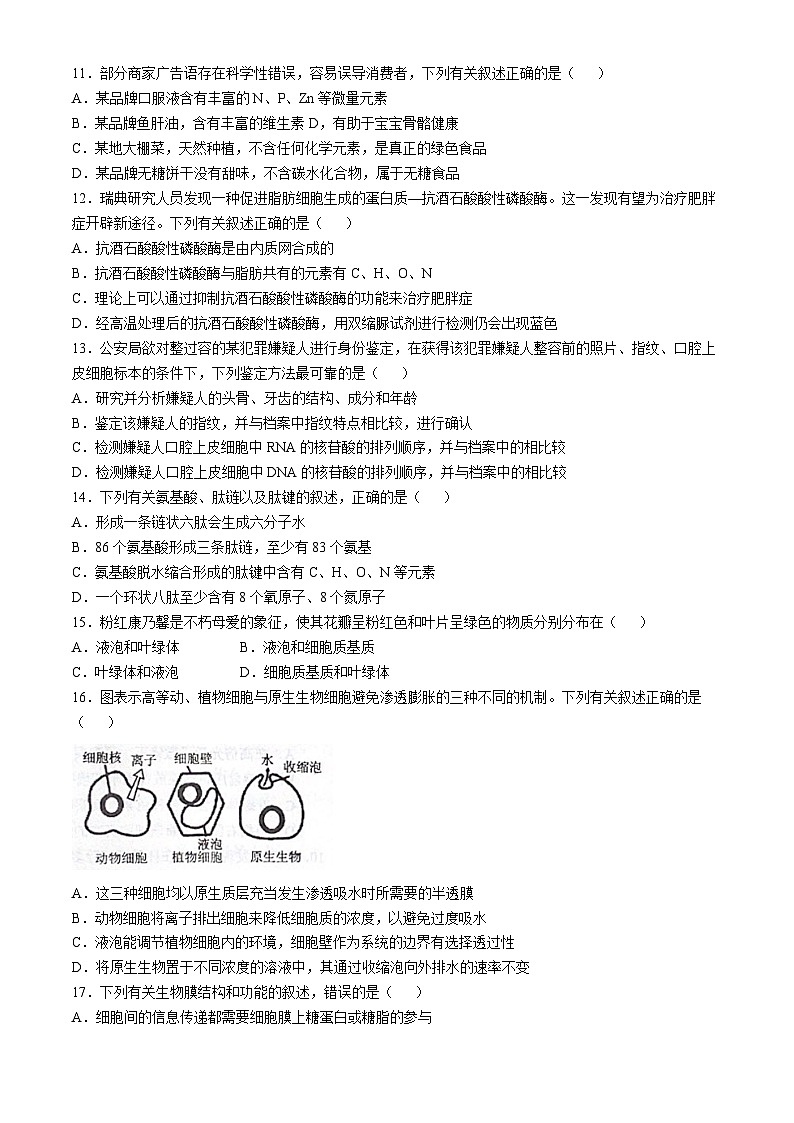 江苏省常熟市伦华高级中学2022-2023学年高一上学期11月期中生物试题(无答案)第3页