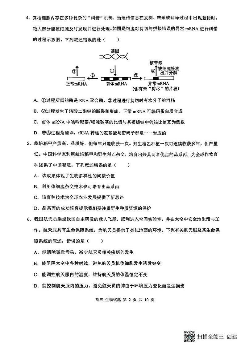 广东潮州饶平2024-2025高三上学期第二次月考质量生物检测试题第2页