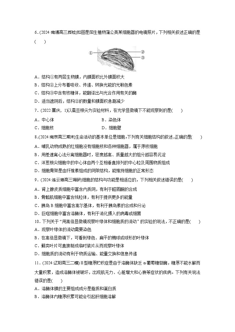 2025届生物新高考一轮复习人教版 细胞器之间的分工 作业第2页