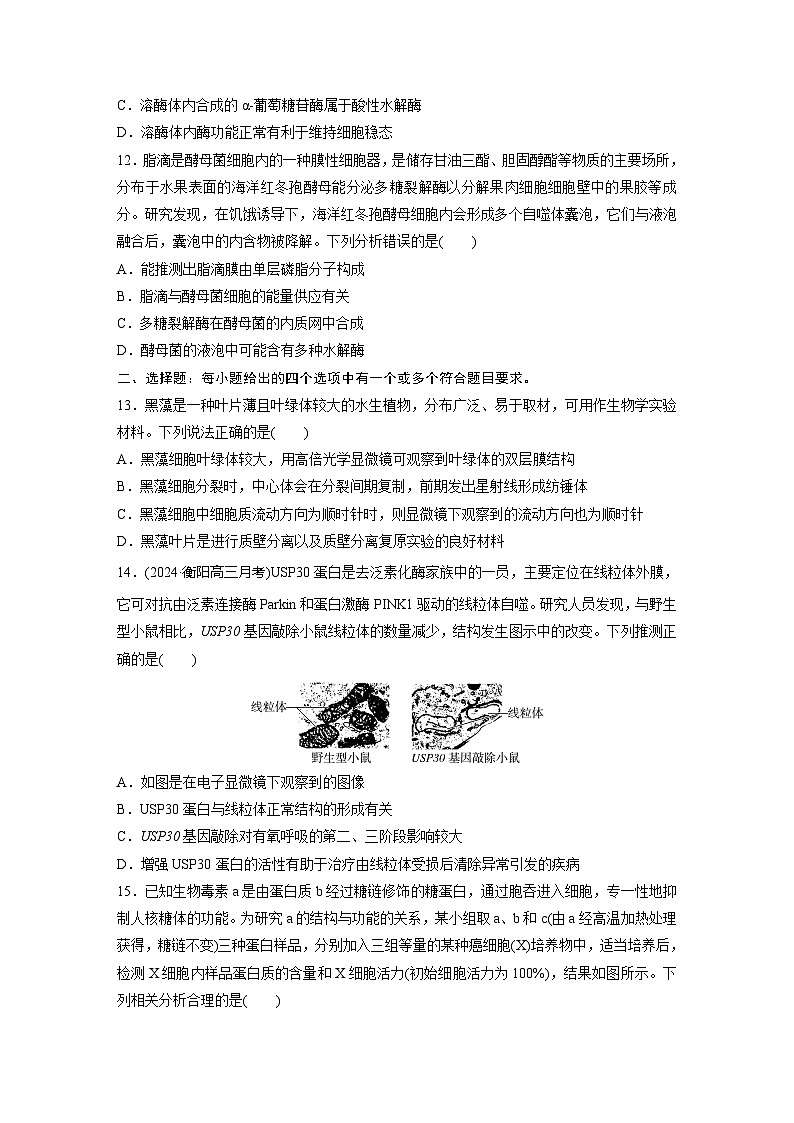 2025届生物新高考一轮复习人教版 细胞器之间的分工 作业第3页