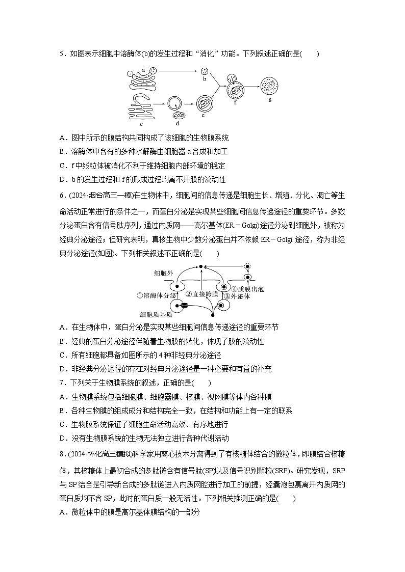 2025届生物新高考一轮复习人教版 细胞器之间的协调配合 作业第2页