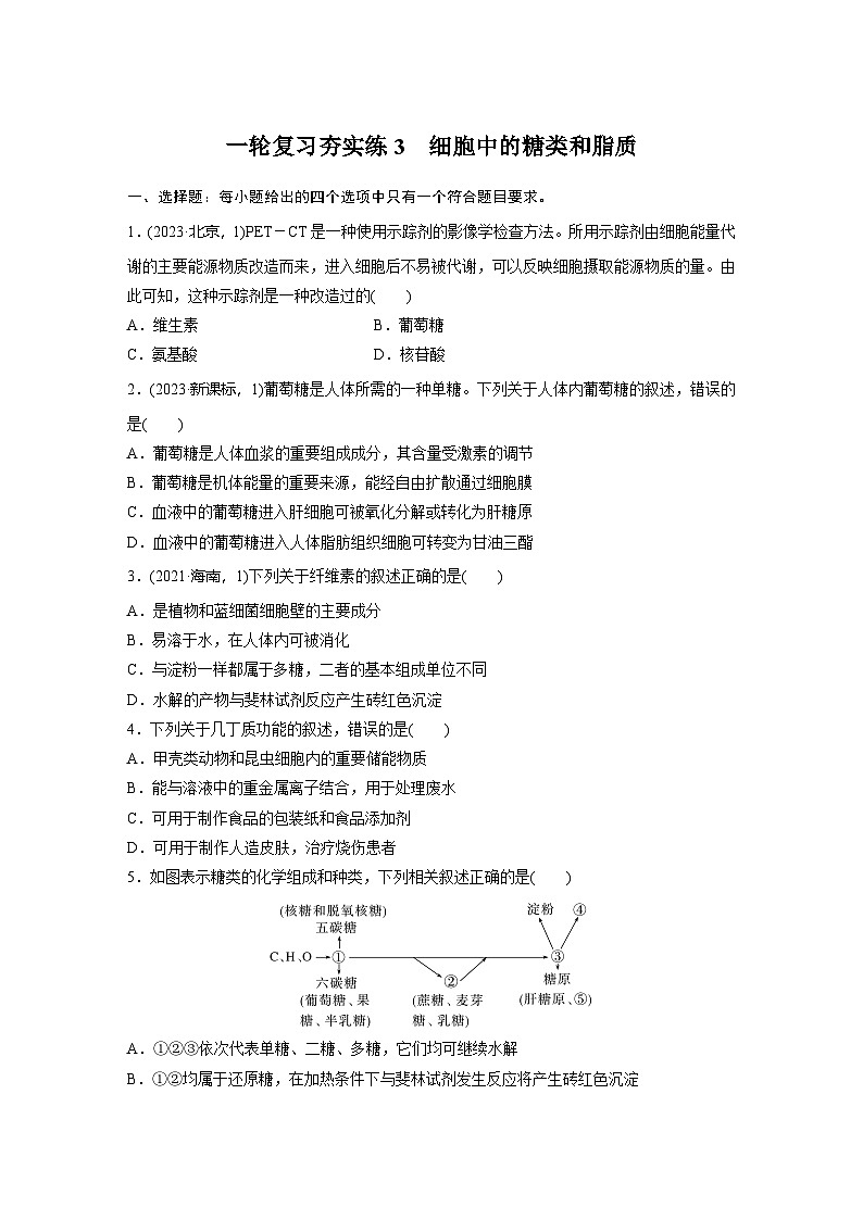 2025届生物新高考一轮复习人教版 细胞中的糖类和脂质 作业第1页