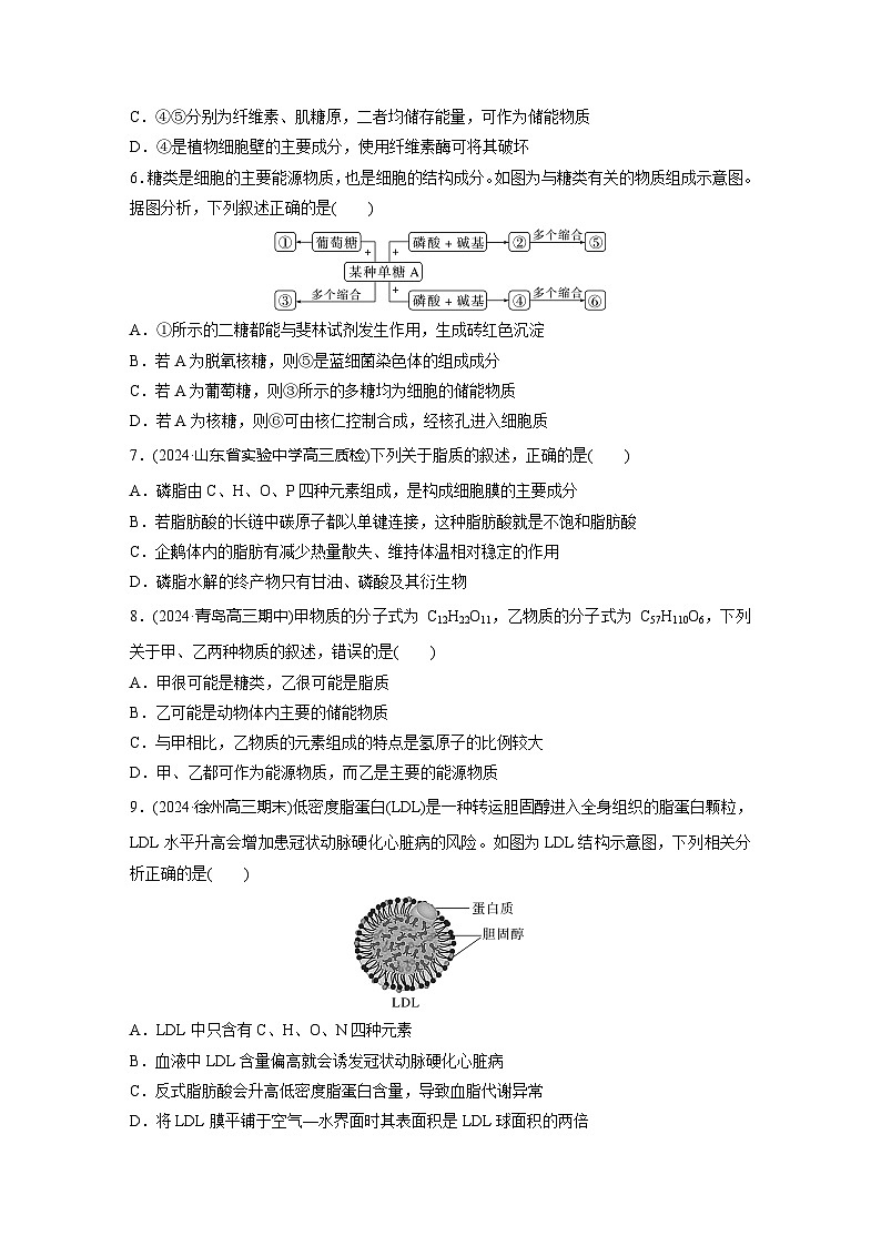 2025届生物新高考一轮复习人教版 细胞中的糖类和脂质 作业第2页