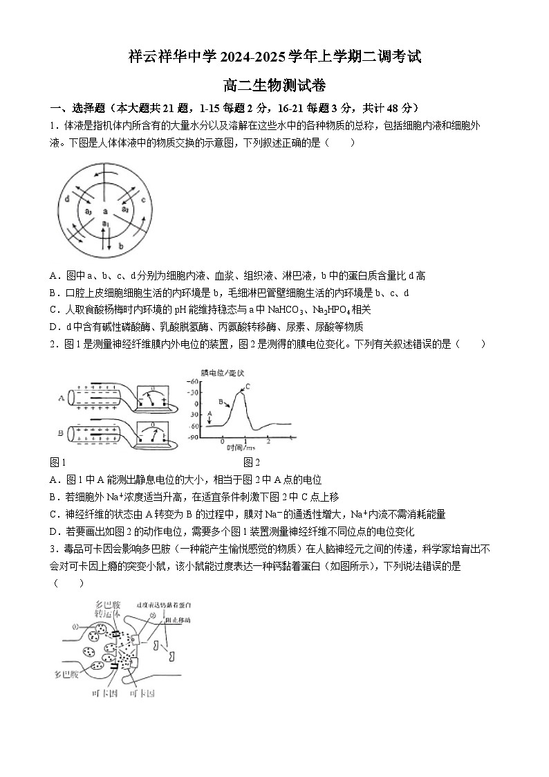 云南省大理白族自治州祥华集团联考2024-2025学年高二上学期10月月考生物试题(无答案)第1页