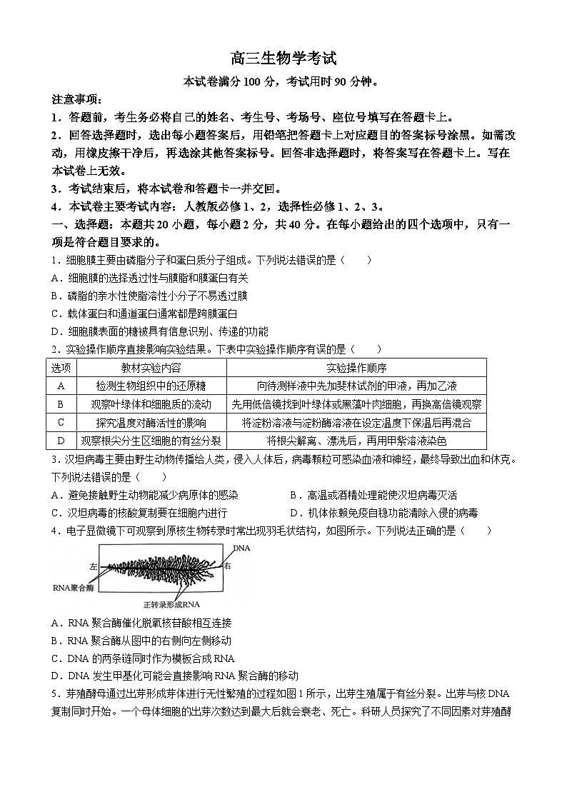新疆部分名校2024-2025学年上学期高三上学期开学考试生物试题第1页