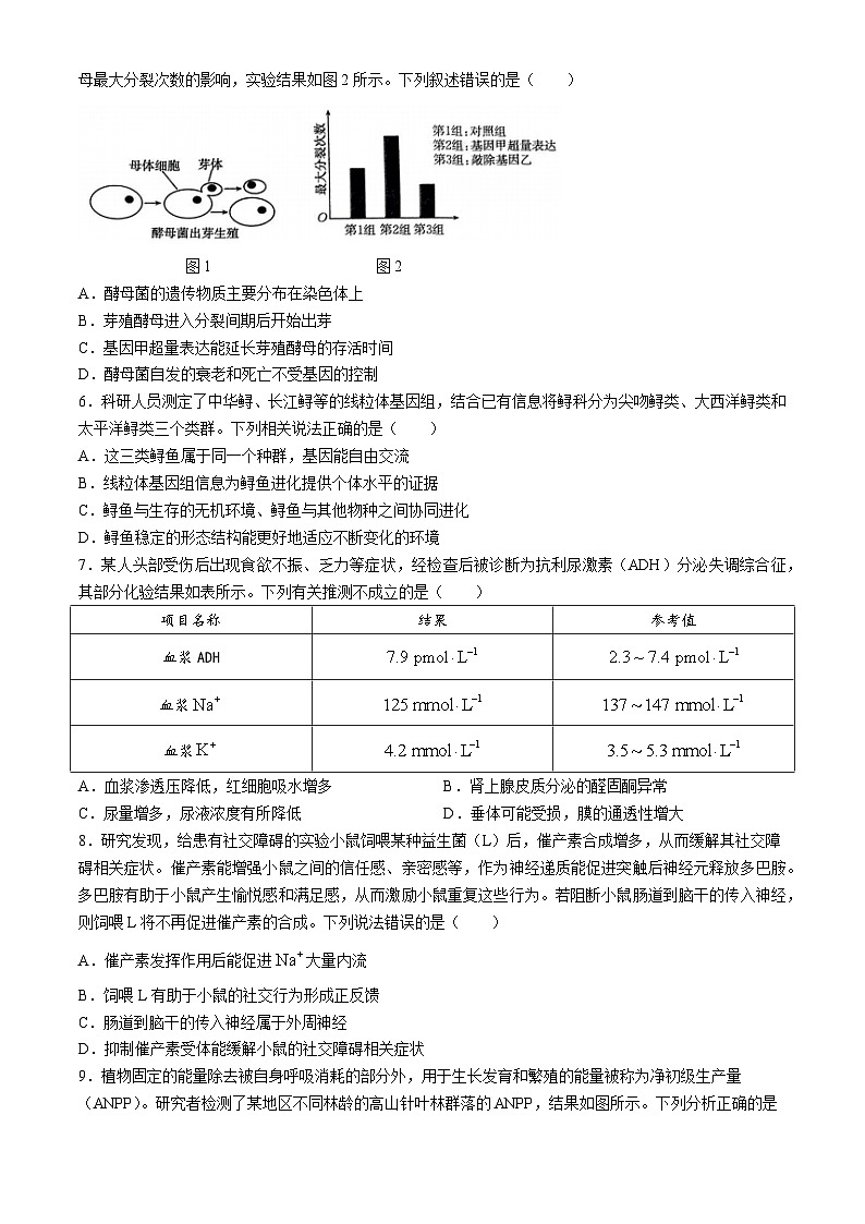 新疆部分名校2024-2025学年上学期高三上学期开学考试生物试题第2页