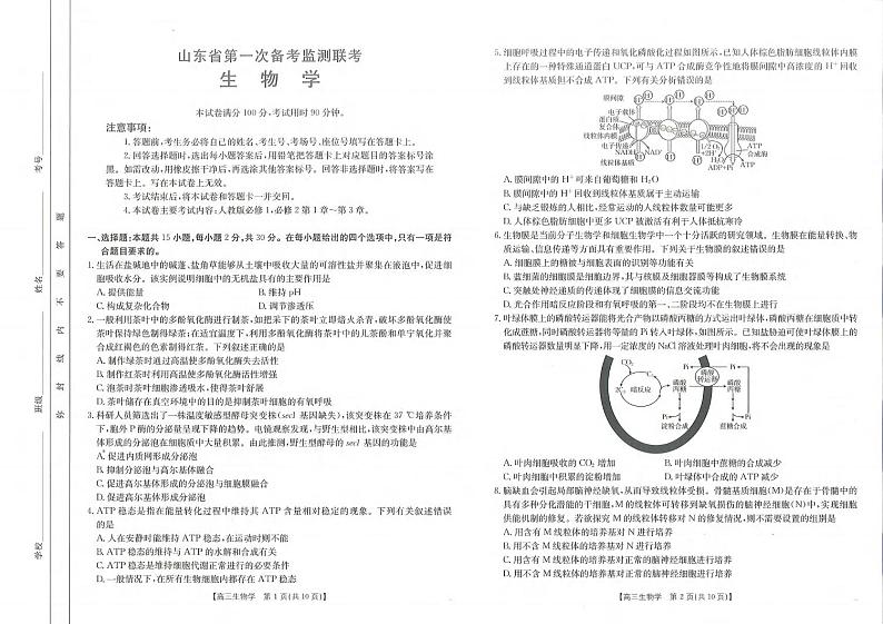 生物丨山东省第一次备考监测联考（角标C2）2025届高三10月联考生物试卷及答案01