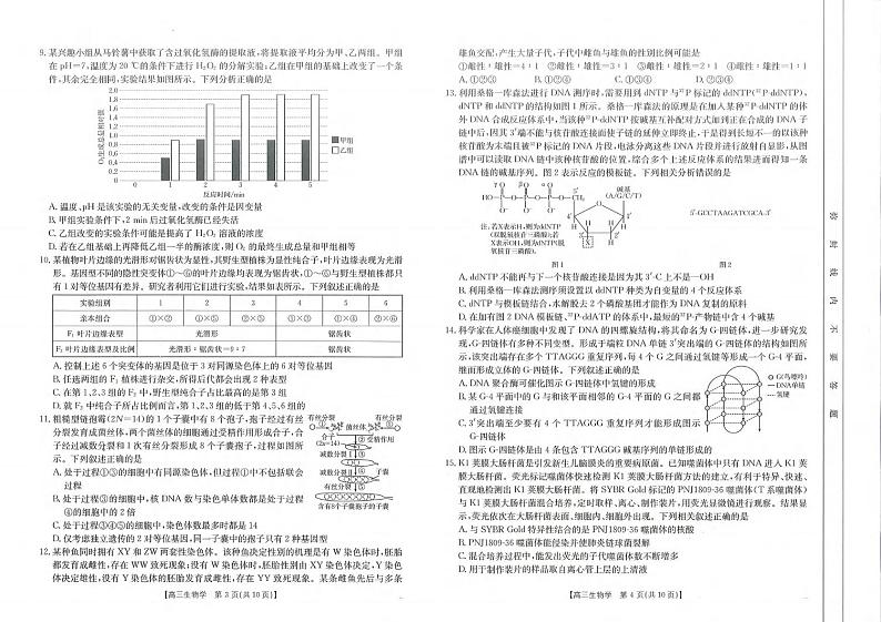 生物丨山东省第一次备考监测联考（角标C2）2025届高三10月联考生物试卷及答案02