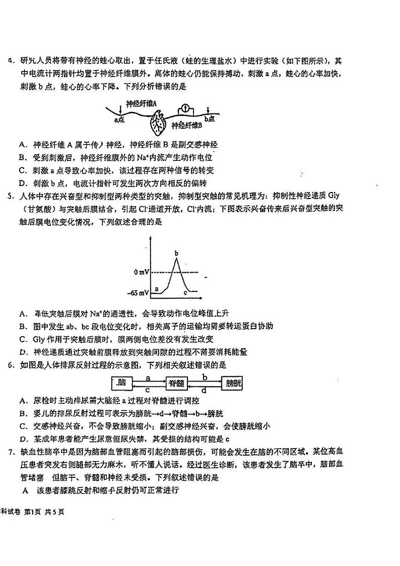 吉林省长春吉大附中实验学校2024-2025学年高二上学期第一次月考生物试题第2页