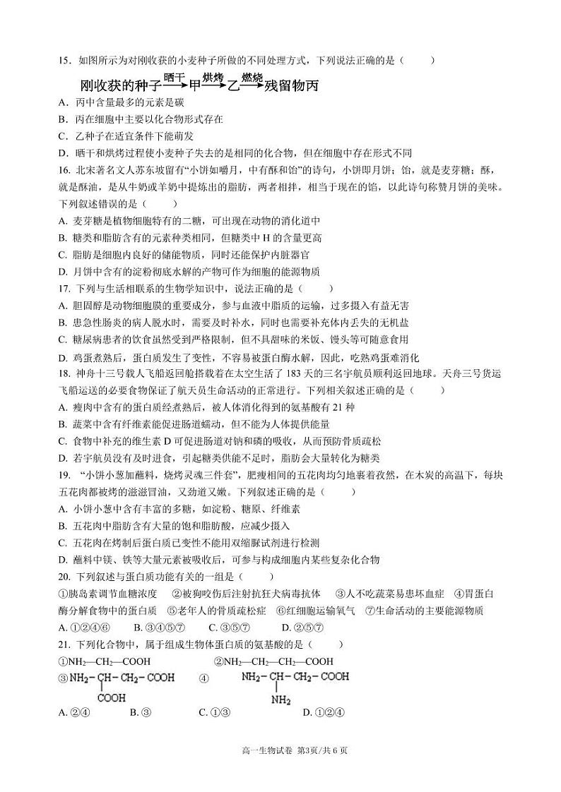 广东省江门市新会第一中学2024-2025学年高一上学期第一次月考生物试题第3页