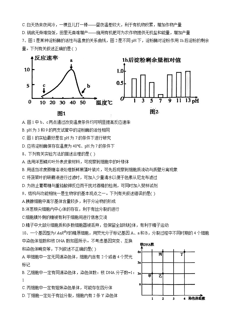 辽宁省大连市滨城高中联盟20242025学年高三上学期期中考试（一）生物试卷第2页