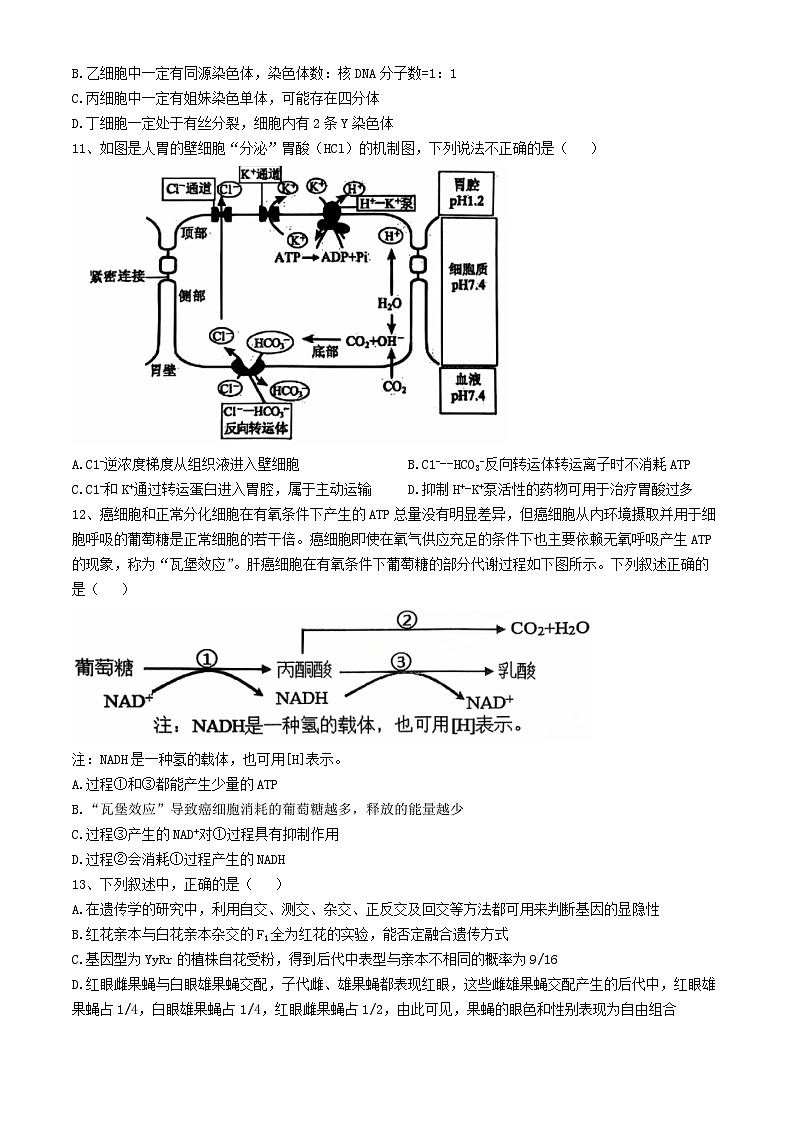 辽宁省大连市滨城高中联盟2024-2025学年高三上学期期中考试（一）生物试卷(无答案)03
