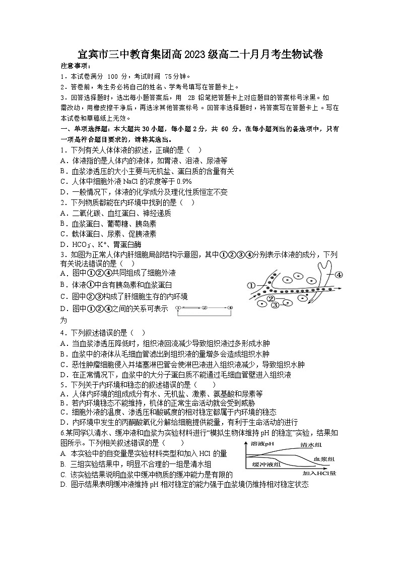 四川省宜宾市三中教育集团2024-2025学年高二上学期10月月考生物试题01