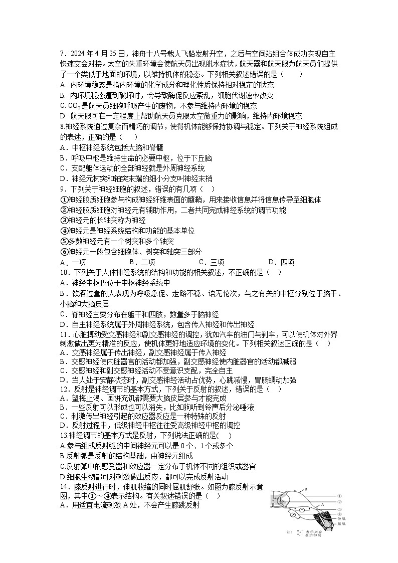 四川省宜宾市三中教育集团2024-2025学年高二上学期10月月考生物试题02