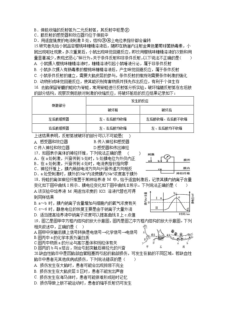 四川省宜宾市三中教育集团2024-2025学年高二上学期10月月考生物试题03