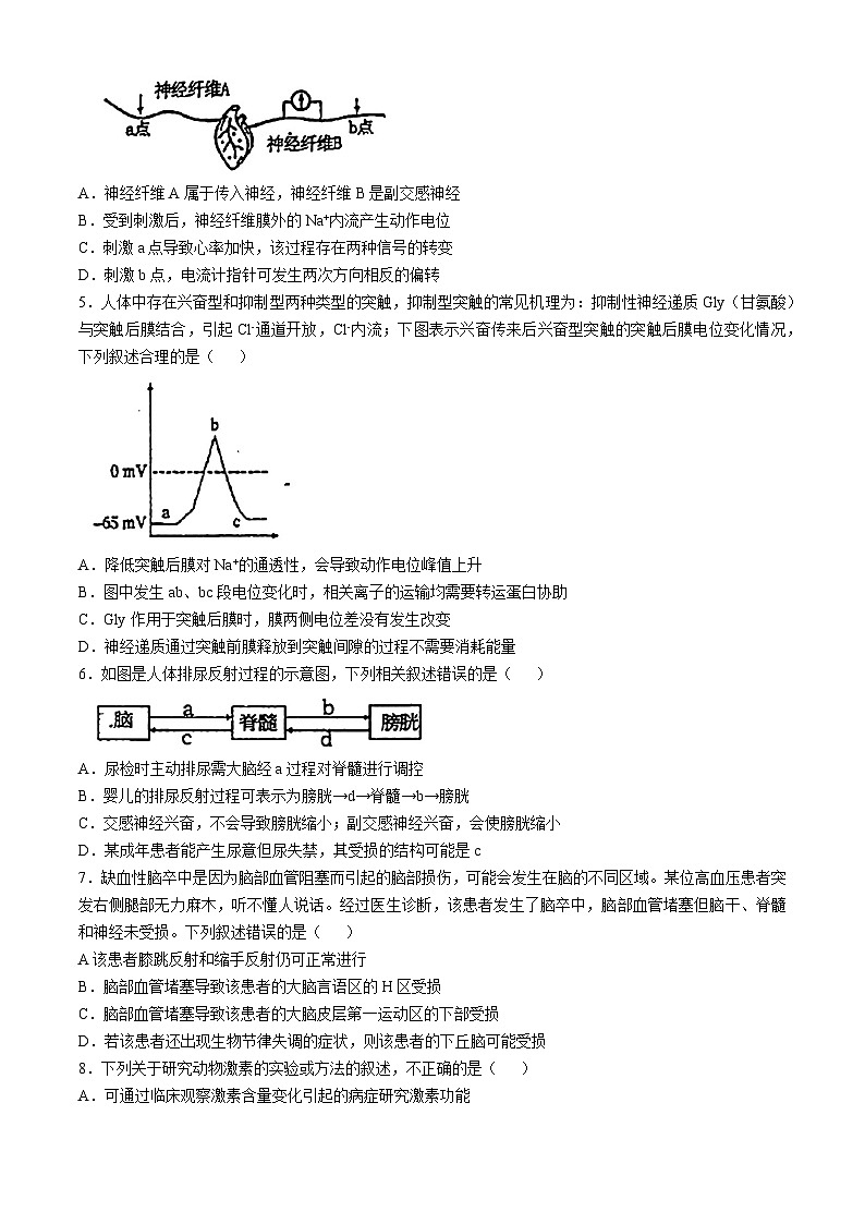 吉林省长春吉大附中实验学校2024-2025学年高二上学期第一次月考生物试题(无答案)第2页