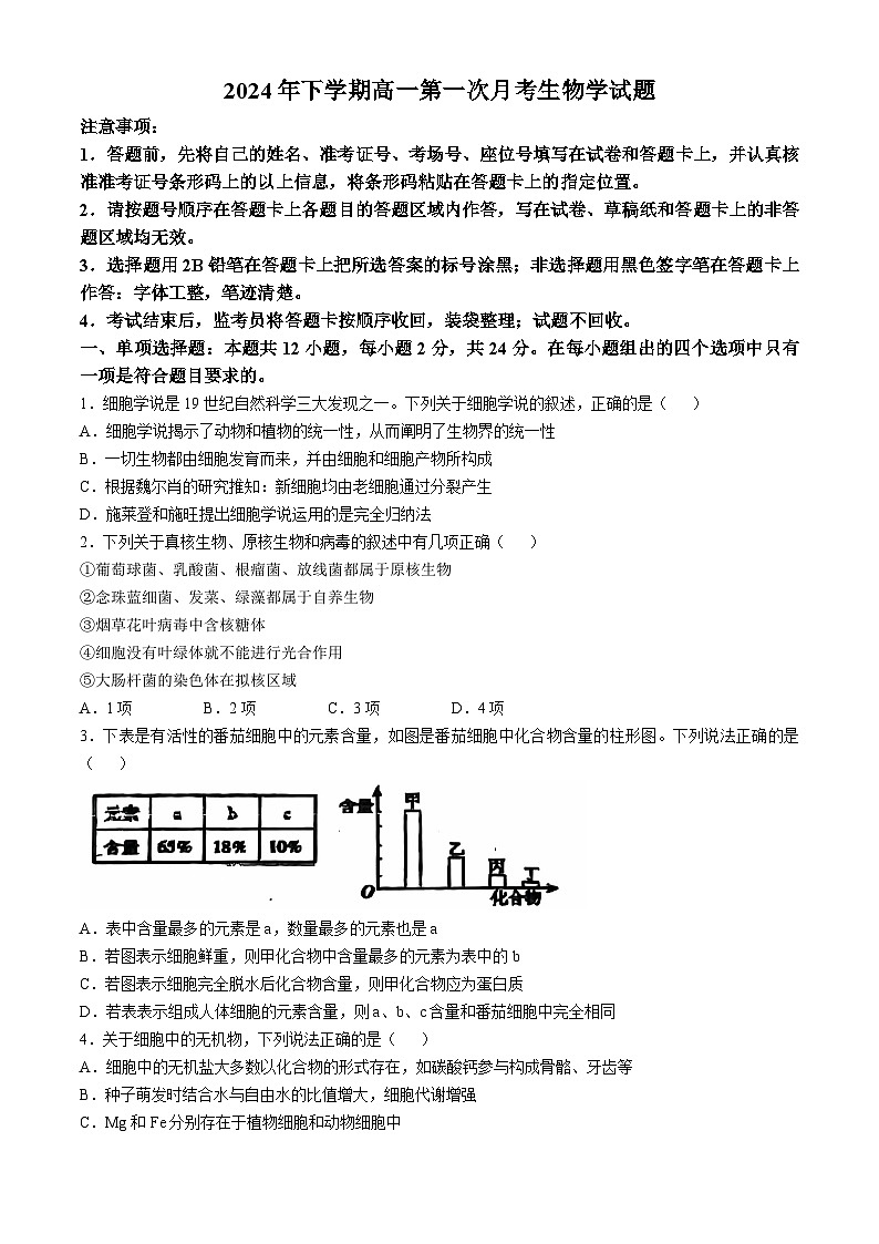 湖南省邵东市第三中学2024-2025学年高一上学期第一次月考生物试题01