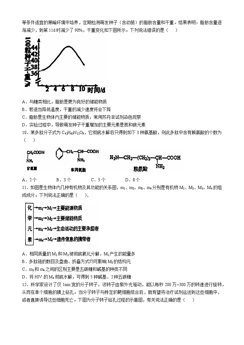 湖南省邵东市第三中学2024-2025学年高一上学期第一次月考生物试题03