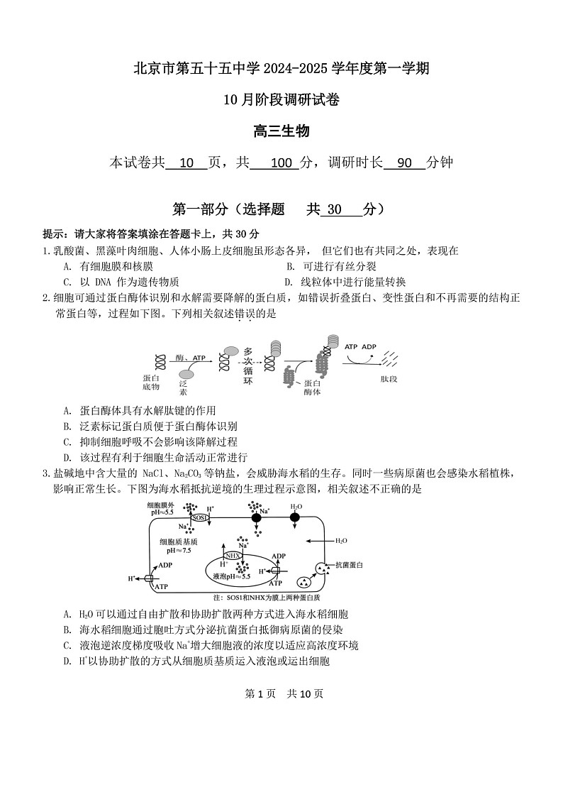 [生物]2024北京五十五中高三上学期10月月考试卷第1页